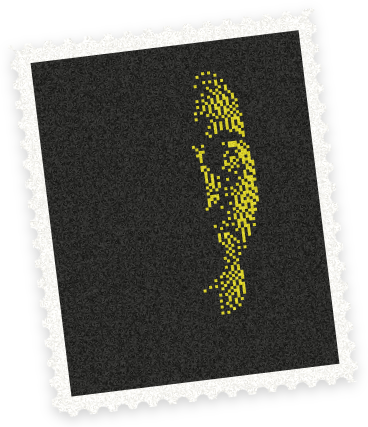 Marco Bellini